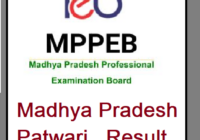MPPEB Patwari Result