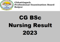 CG BSc Nursing Result 2023