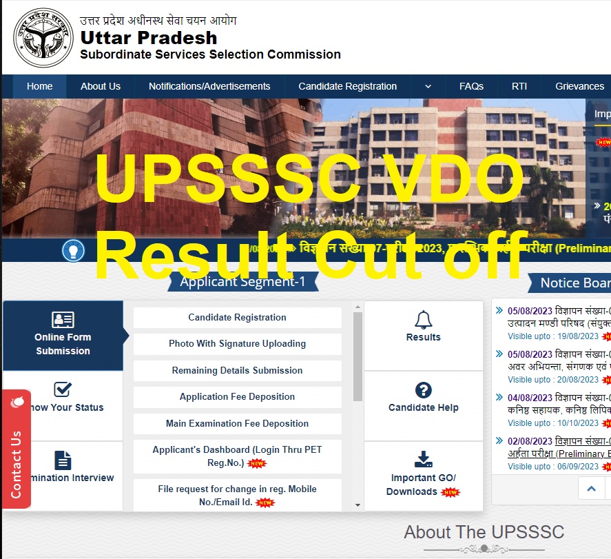UPSSSC VDO Result