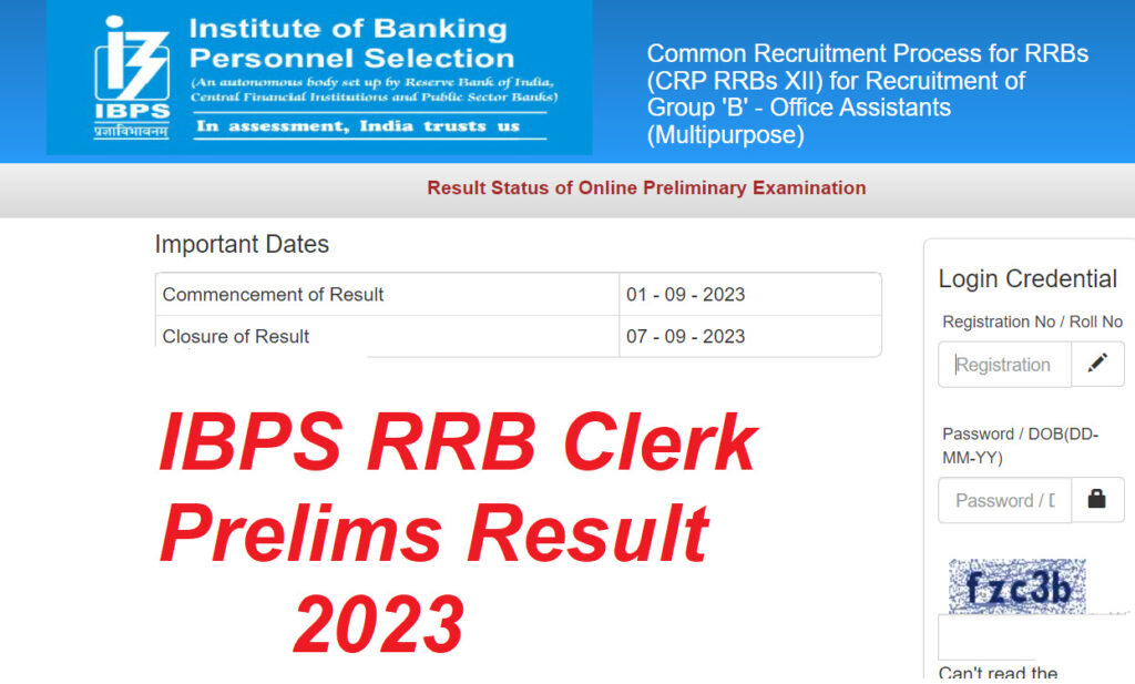IBPS RRB Clerk Prelims Result 2023 